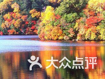 上古世纪